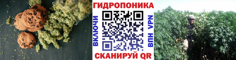 Canna-Cookies марихуана  Купить где  Новотроицк 