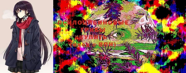 герыч Нязепетровск