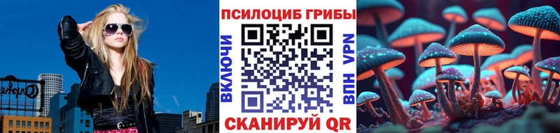 Купить  Новотроицк  Псилоцибиновые грибы мухоморы 