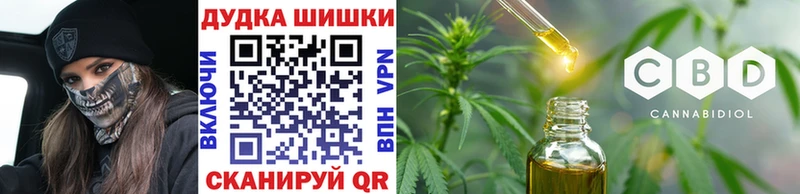 Бошки Шишки план  Купить  Новотроицк 